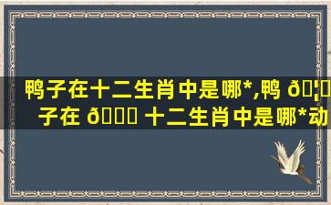 鸭子在十二生肖中是哪*
,鸭 🦊 子在 🐞 十二生肖中是哪*
动物